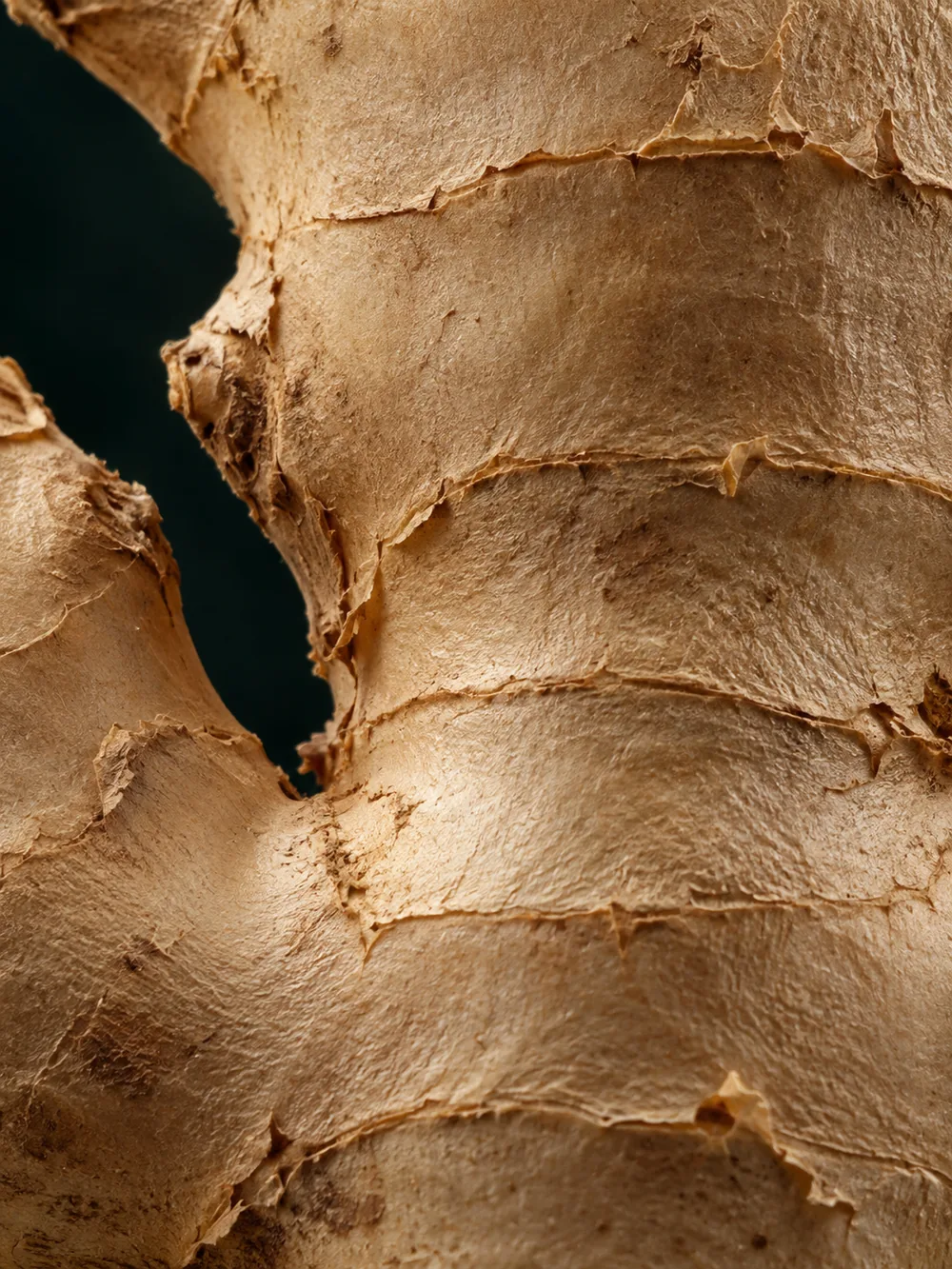 Dried Ginger, close-up specimen
